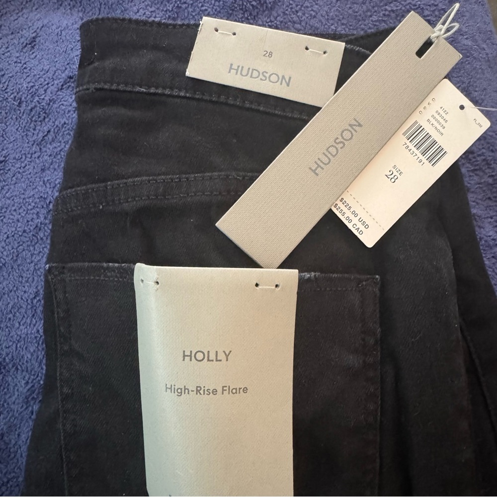 Hudson Holly Flare Denim